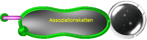 Assoziationsketten   