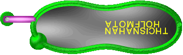 Atomfloh 
Nahansicht
