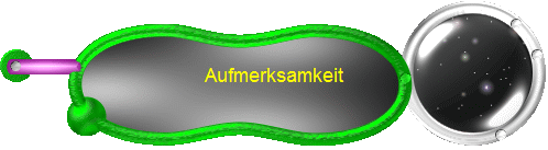 Aufmerksamkeit