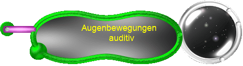 Augenbewegungen  
auditiv