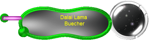 Dalai Lama 
Buecher