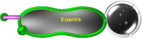 Exzentrik