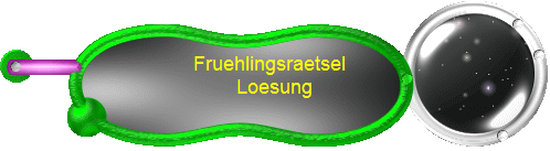 Fruehlingsraetsel  
Loesung