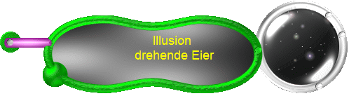 Illusion 
drehende Eier