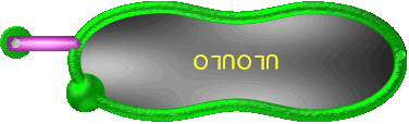 Oluolu     