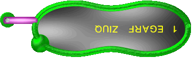 Quiz Frage 1