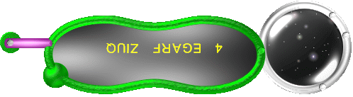 Quiz Frage 4  