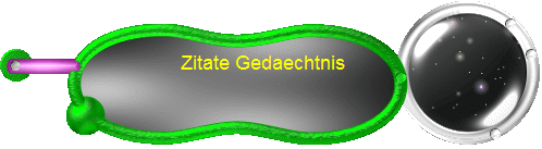 Zitate Gedaechtnis   
