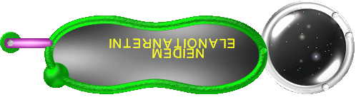 internationale 
Medien